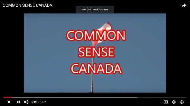COMMON SENSE video