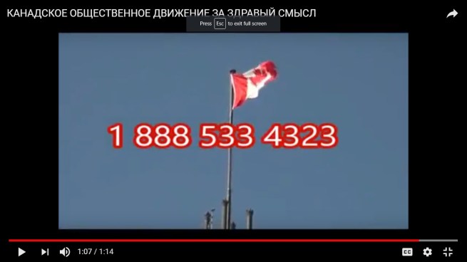 russian video common sense